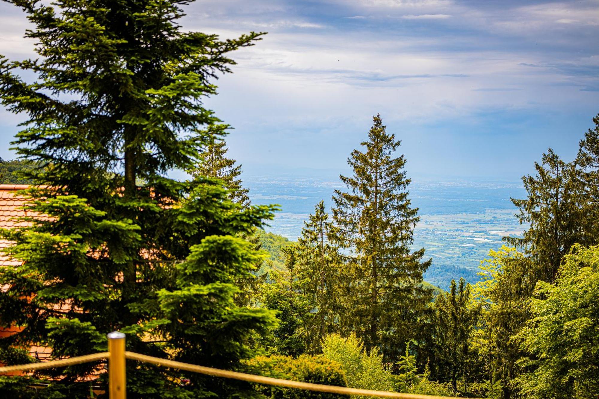 Sonnenhaeusle - Natur. Fernblick. Panorama-Sauna. Засбахвальден Экстерьер фото