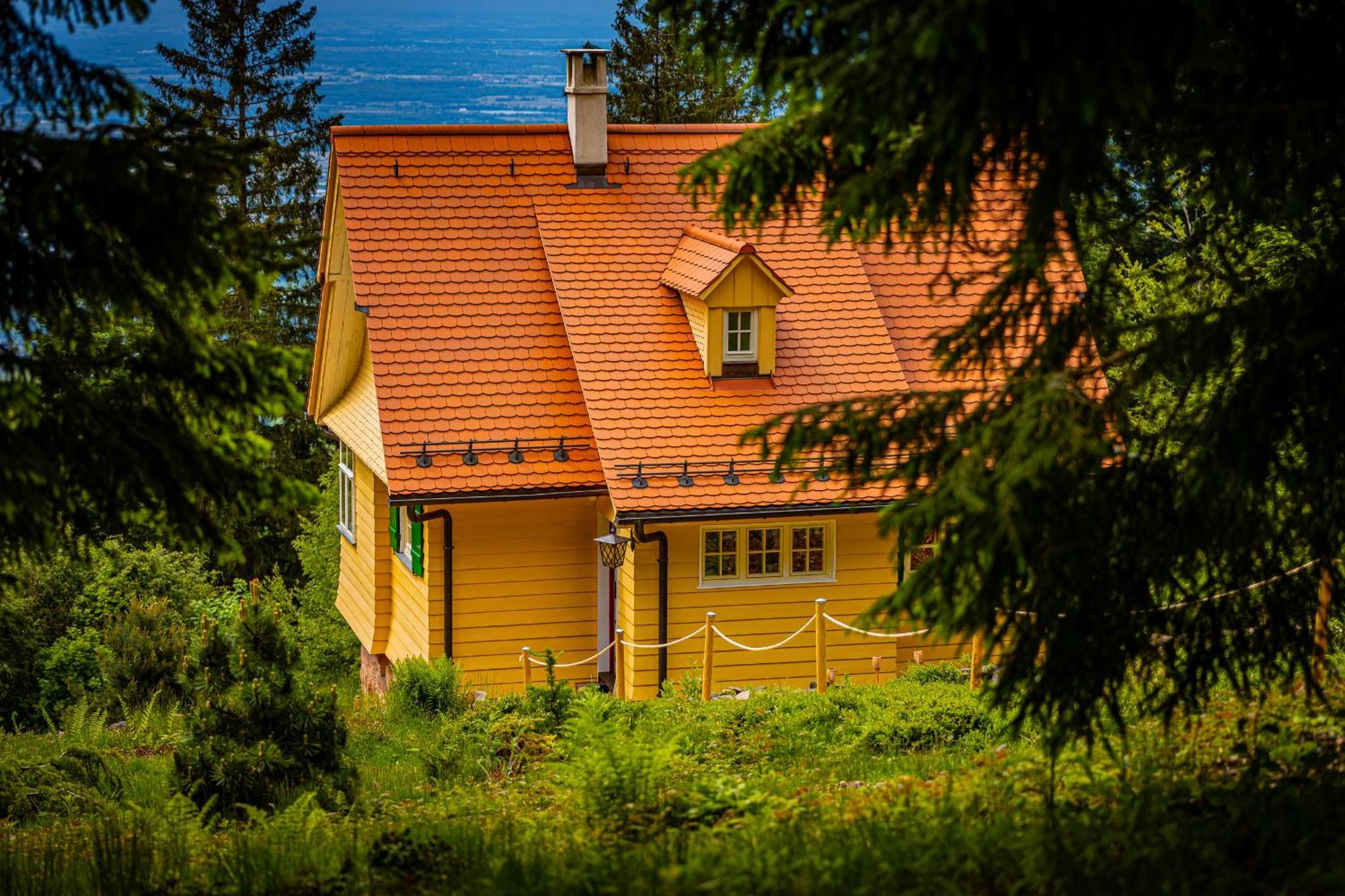 Sonnenhaeusle - Natur. Fernblick. Panorama-Sauna. Засбахвальден Экстерьер фото