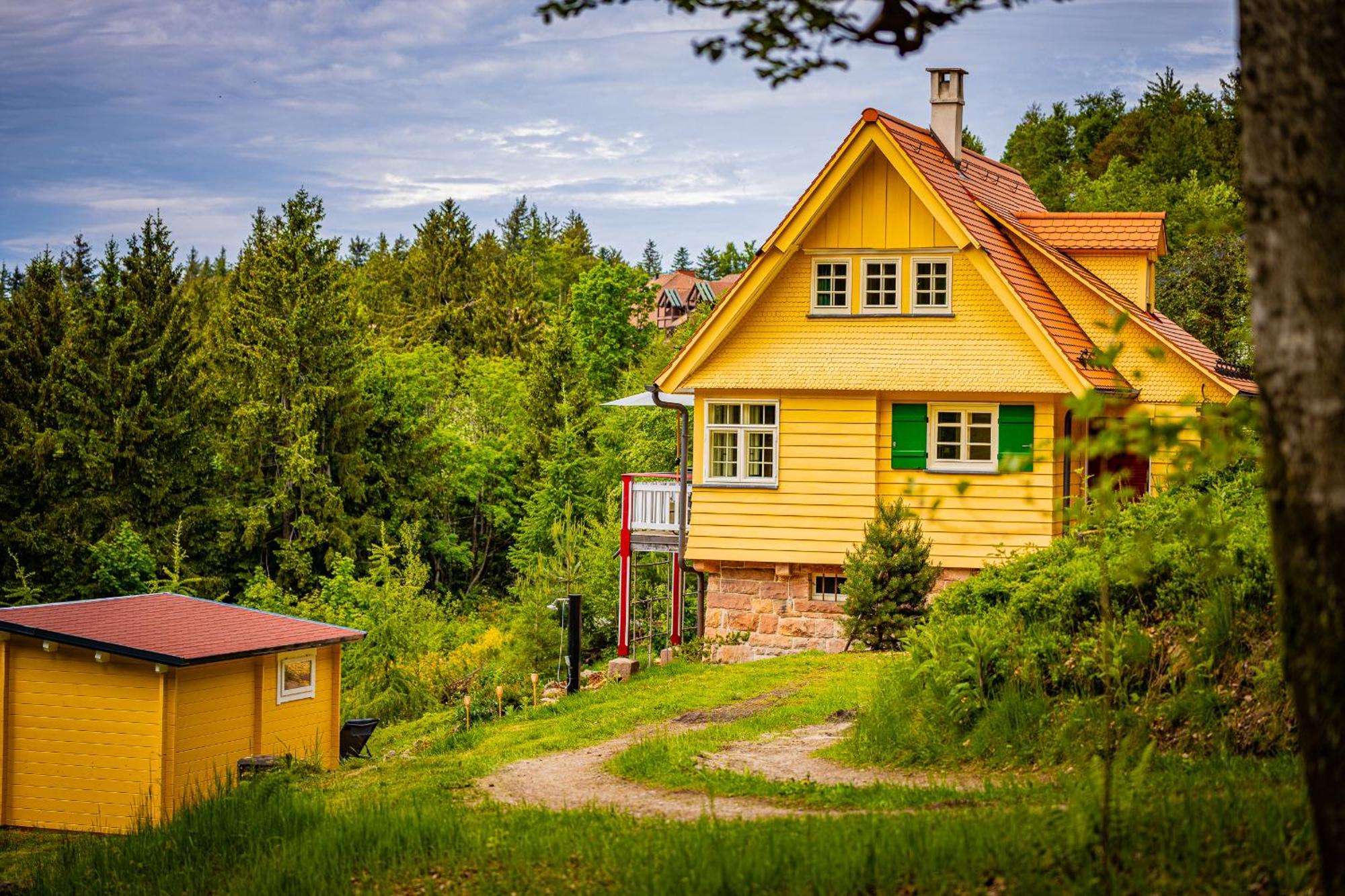 Sonnenhaeusle - Natur. Fernblick. Panorama-Sauna. Засбахвальден Экстерьер фото
